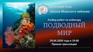 Разбор картин по открытому вебинару "Подводный мир" | Школа морского пейзажа Дмитрия Розы