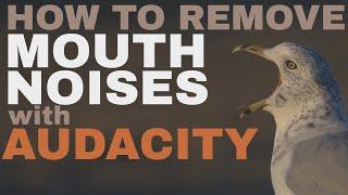 Remove Mouth Noises and Clicks with Audacity: The Ultimate Guide