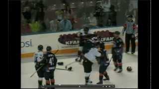 ECHL Dan DaSilva vs David Schulz 12/29/12