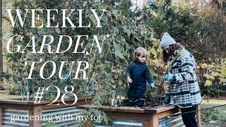 GARDEN CLEANUP WITH MY TOT & GARLIC ‍‍ Kitchen Garden Tour #28 | PNW Raised Beds | November 2024