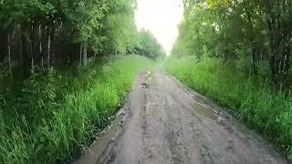 День 502. Навёрстываю упущенное. Дистанция 18 километров.