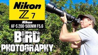 Nikon Z7 Bird Photography Using The Nikon AF-S 200-500mm + FTZII