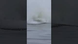 Humpback whale breaches the ocean!