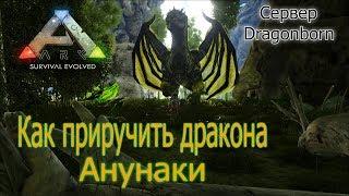 ANNUNAKI Как приручить ДРАКОНА в АРК Dragonborn x100