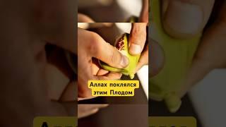 Инжир-Плод из Рая! #shotrs