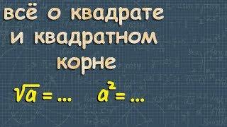 КВАДРАТНЫЙ КОРЕНЬ | КВАДРАТ ЧИСЛА | математика 8 класс