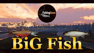  Fishing Planet. Big Fish. Мальма и Большеголовый Голец