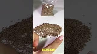 Инсектицид Теппеки - обзор