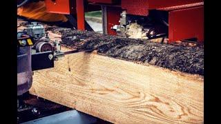 The most expensive and Extreme Hard wood in the World ! High Price Antique Wood from Madium Sawmill