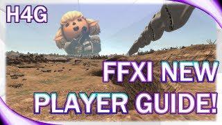 FFXI Guide for New Players!