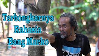 Terbongkarnya Rahasia Bang Marko