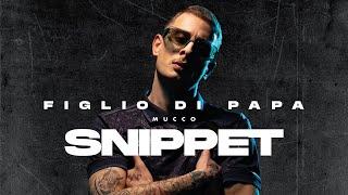 MUCCO - FIGLIO DI PAPA SNIPPET (Official Video)