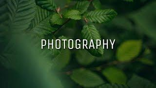 How to shoot good photos with almost any camera // Teo Crawford
