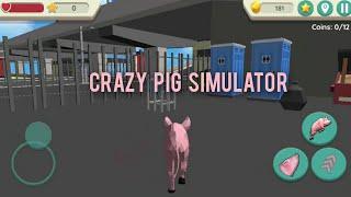 Crazy Pig Simulator by CyberGoldFinch games 