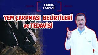 Yem çarpması belirtileri ve tedavisi