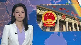 TVB News at 7:30｜4 MAR 2025｜HONG KONG English Latest NEWS