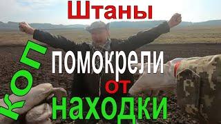 Скифский Грифон - находка года ! КОП2021