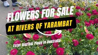 Flowers for sale at Rivers of Yarambat. Pinay in Australia