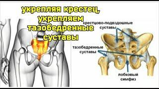 Зажатый половой нерв вызывает деградацию половых органов и тазобедренных суставов. Упражнения