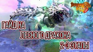 Гайд на Лесного Дракона 2-3 Этап [New Dragon Nest]