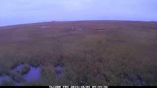 Nor'easter flooding, Tuckerton, NJ.