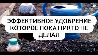 Эффективное жидкое органическое удобрение своими руками Секрет большого урожая.