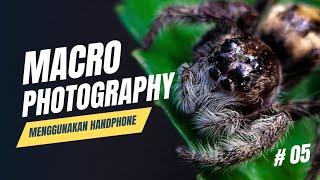 Macro Photography untuk pemula menggunakan HP