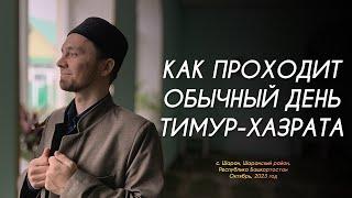 КАК ПРОХОДИТ ОБЫЧНЫЙ ДЕНЬ ТИМУР-ХАЗРАТА