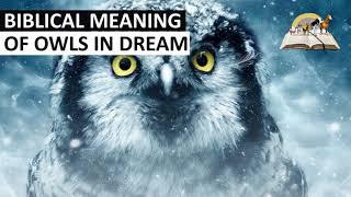 Biblical Meaning of OWLS in Dream - Spiritual Meaning of Owl