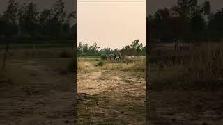 Happy person #viral #ytshorts #youtubeshorts #shortvideo #khush insaan