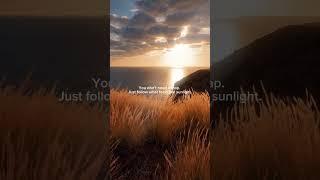 #nature #poetry #sun #ocean #poem #advice #fyp #scenery  #relax #quotes #healing