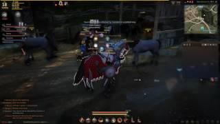 How to Make Trade Runs on Black Desert Online