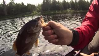 Northern Ontario River Canoe Trip- Missinaibi River (Peterbell to Mattice) Part 2