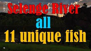 Fishing Planet - Selenge River All Unique Fish Location