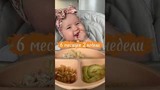 Это Миа, и она уже ест кусочки   #6месяцев #самоприкорм #blw #прикорм #babyledweaning #6months
