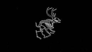 The Wild Roots - Death Is Not Coming Tonight