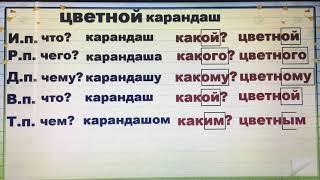 Склонение имени прилагательного (часть 1)