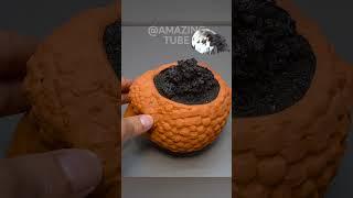 Growing Dragon fruit seeds #shorts #timelapse #amazingtube