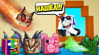КАК НАЙТИ ВСЕ МОРФЫ ЭВОЛЮЦИИ ШЛЁПЫ В ПУСТЫНЕ! ШЛЁПА ОТ НУБА ДО ПРО! ROBLOX Find The Floppa