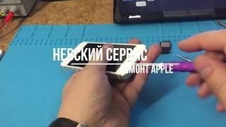 Замена Полифонического Динамика iPhone 5s