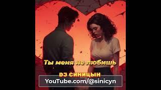 DJ СИНИЦЫН - Ты меня не любишь, не жалеешь