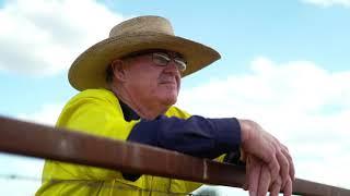 Lifetime Ewe Management in Queensland