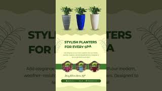 SG Traders Planters Collection   #sgtraders