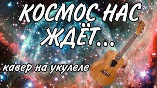 КОСМОС НАС ЖДЁТ кавер укулеле стрыкало | Данила Воронков