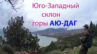 #Гурзуф. У подножия горы #Аю-Даг