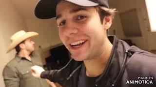 Best Moments of Heath Hussar in David Dobrks Vlogs