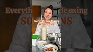 I Made Silken Tofu, Soy Milk, Yoghurt & Okara Cookies From Just Soybeans | From Scratch Cooking