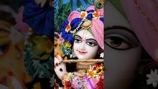 Hare Krishna Hare Krishna  Jai Shri Krishna  #jaishrikrishna #hindudeity  #song #harekrishnasong