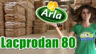 Lacprodan 80 Лакпродан Арла протеин ОБЗОР И ТЕСТ