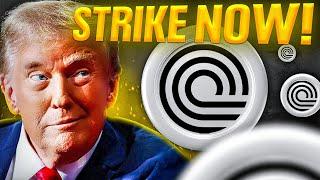 Trump Buys Another Altcoin (Top Crypto for 2025!)